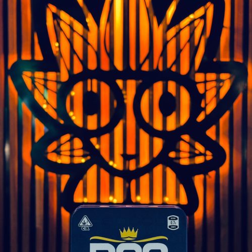 Pre roll From DNA Genetics | High thai Weed Bangkok