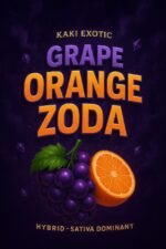 Grape Orange Zoda from kaki exotic | High Thai Weed bangkok