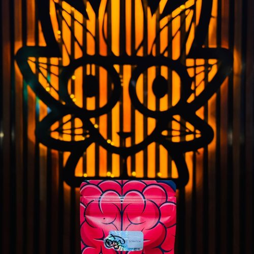 Doja Weed strain | High Thai Weed bangkok