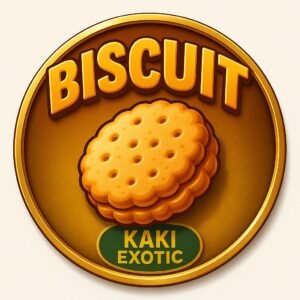 Biscuit Live Rosin KAKI EXOTIC | High Thai Weed Bangkok