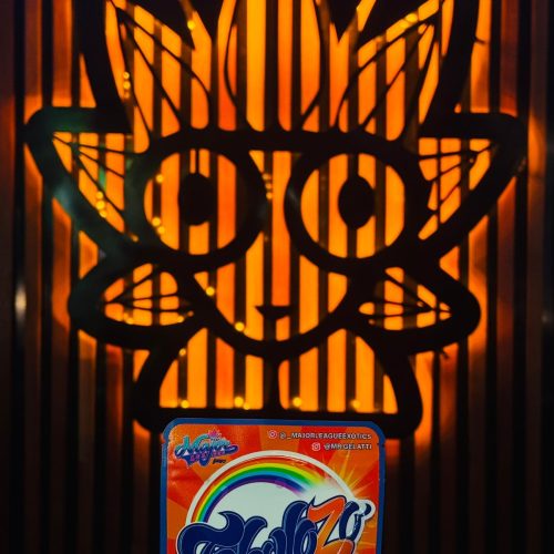 FaboloZo weed strain | High Thai Weed bangkok