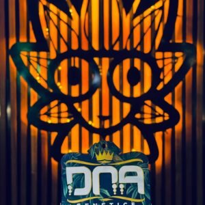 24K Gold From DNA | High Thai Weed Bangkok