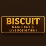 Biscuit Live Rosin KAKI EXOTIC | High Thai Weed Bangkok