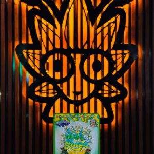 NieVede Limon Weed Strain | High Thai Weed bangkok