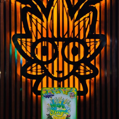 NieVede Limon Weed Strain | High Thai Weed bangkok