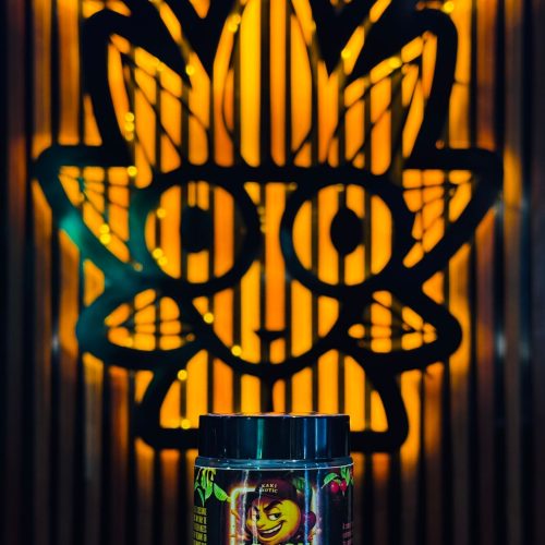 Lemon cherry zorbet weed strain | High Thai Weed Bangkok