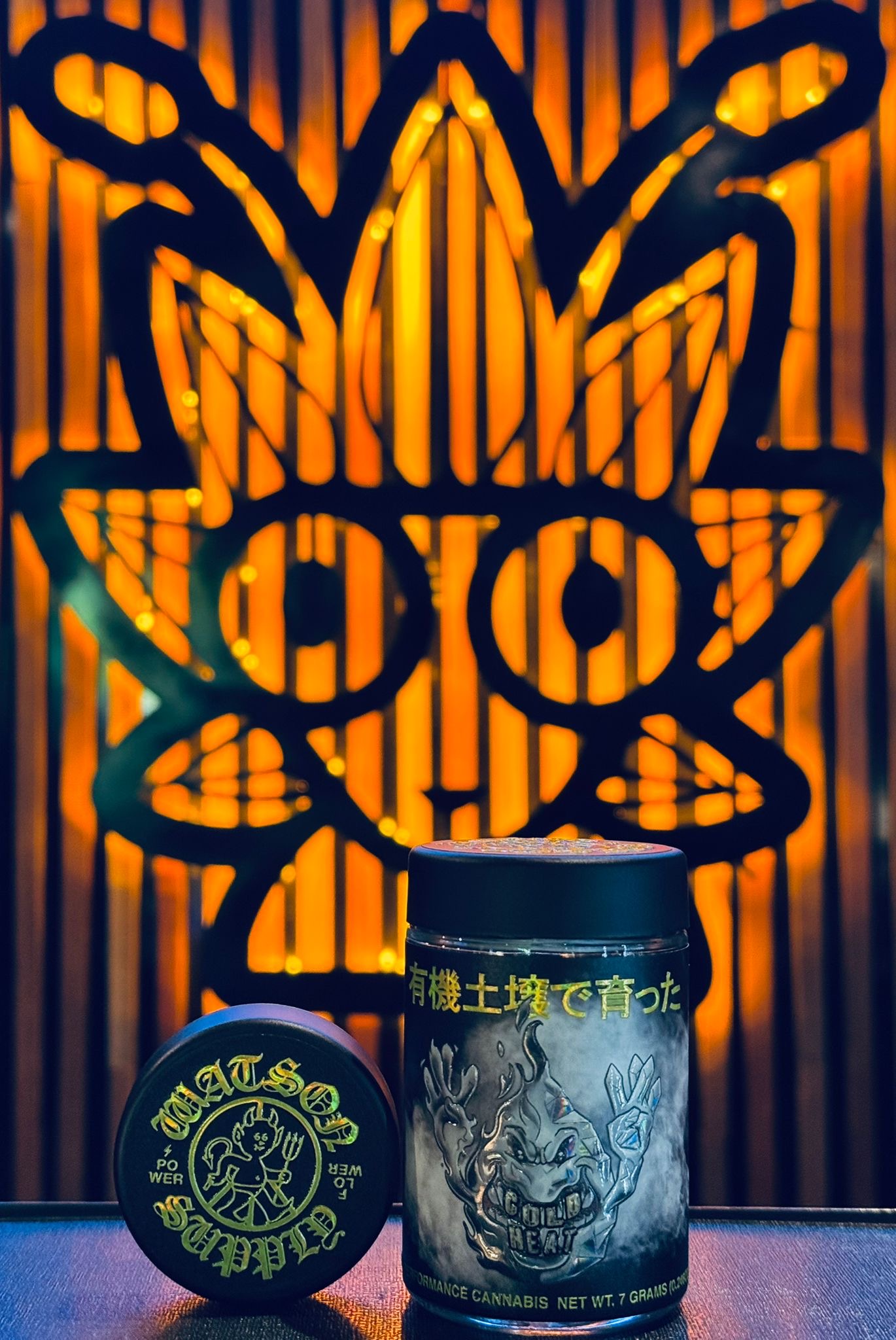 32c15fab-b3e3-44e2-944a-49e9523f605a