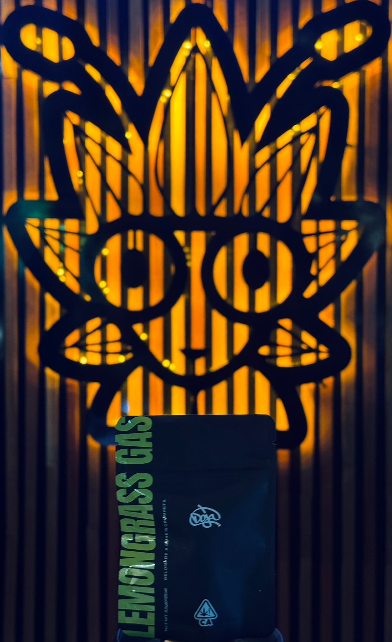 613ec3b5-c07b-43bc-acd0-0947df772cc0