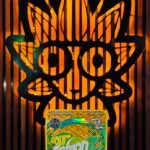 Sour Lemon Z Weed Strain from MR.GELATTI | High Thai Weed Bangkok