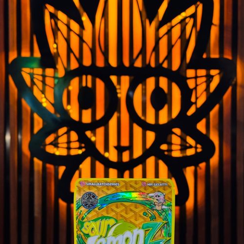 Sour Lemon Z Weed Strain from MR.GELATTI | High Thai Weed Bangkok