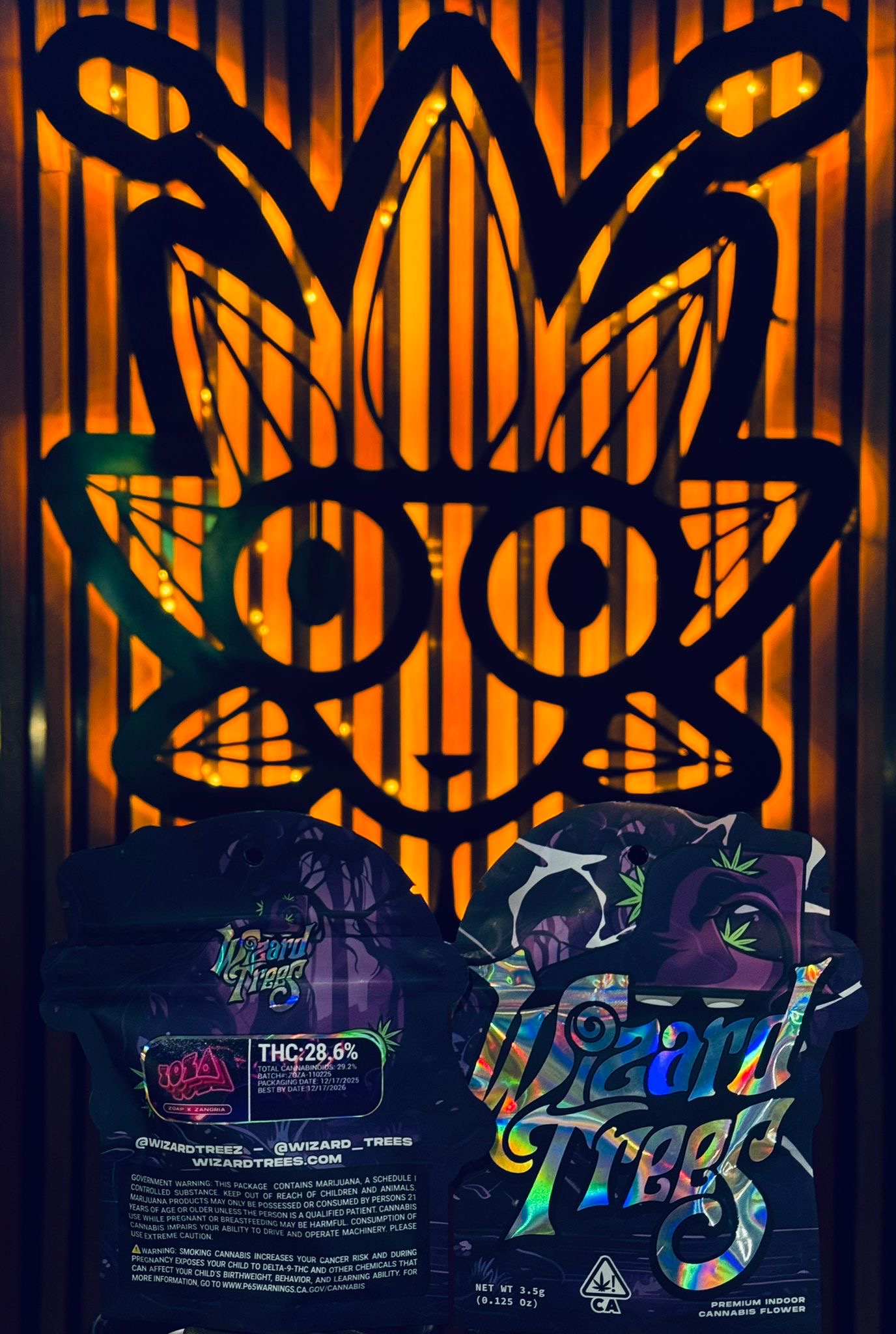 6216efe7-da57-44a0-958e-5bf686b51220