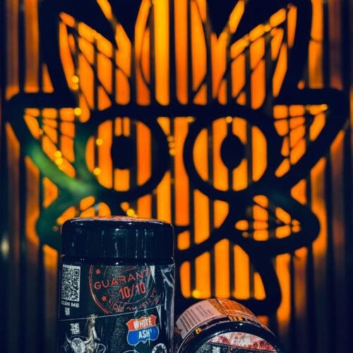 T Bone 7g jar from tenco company | highthaiweed bangkok