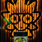 Limelight From Kaki Exotic