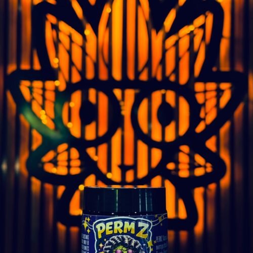 Perm Z #1 From Kaki Exotic | highthaiweed bangkok