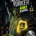 New Yorker From Kaki Exotic