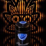 Rosewater from Doja