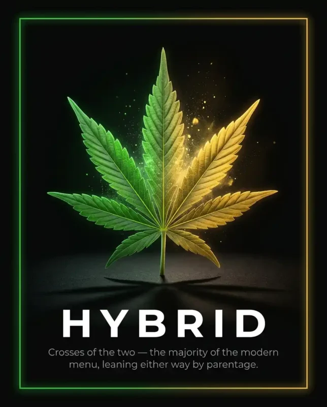 hybrid exotic strains